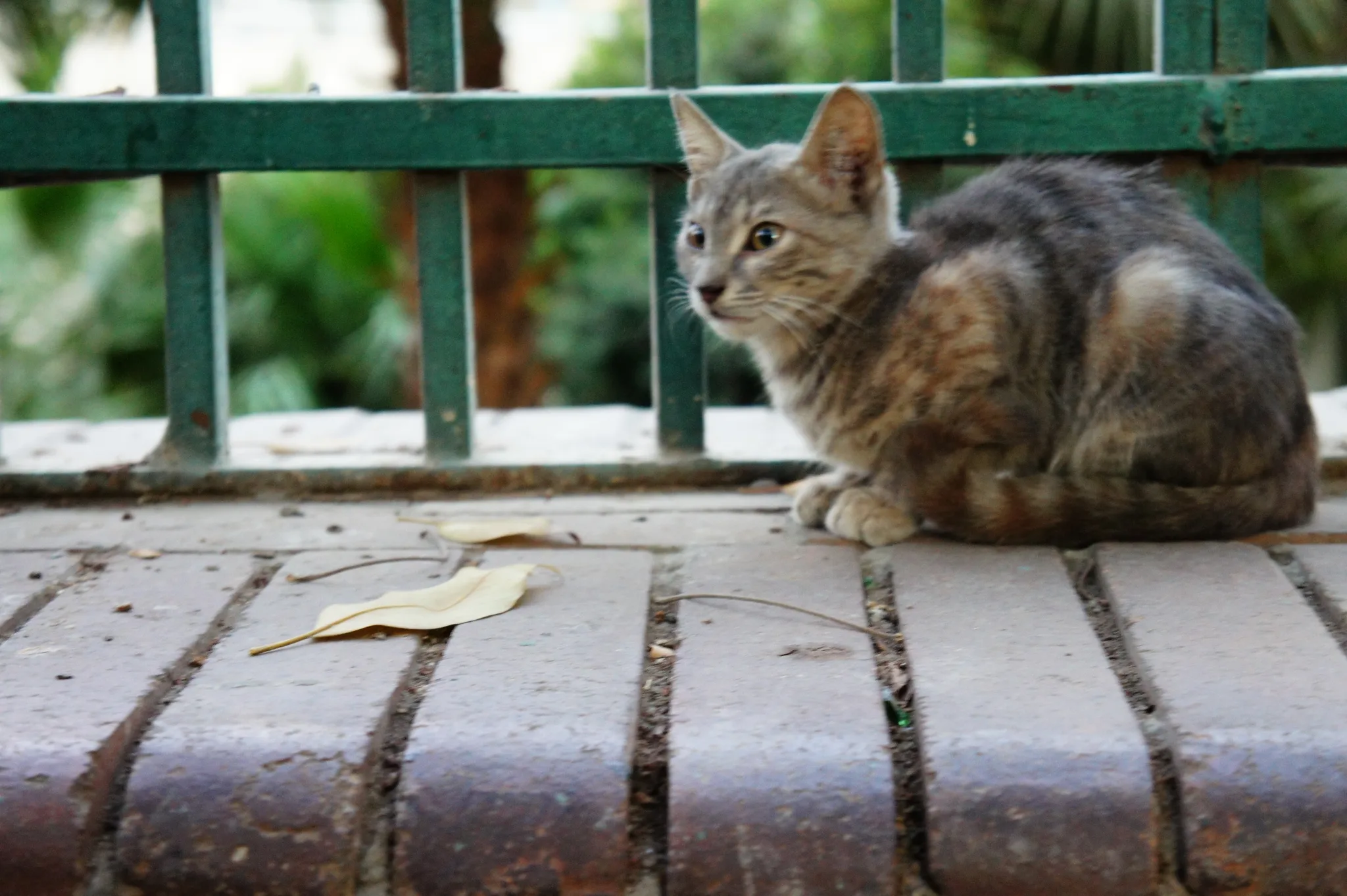 20121026-181845-20260404-0432-492A-73E9-5F1CD20A69AA