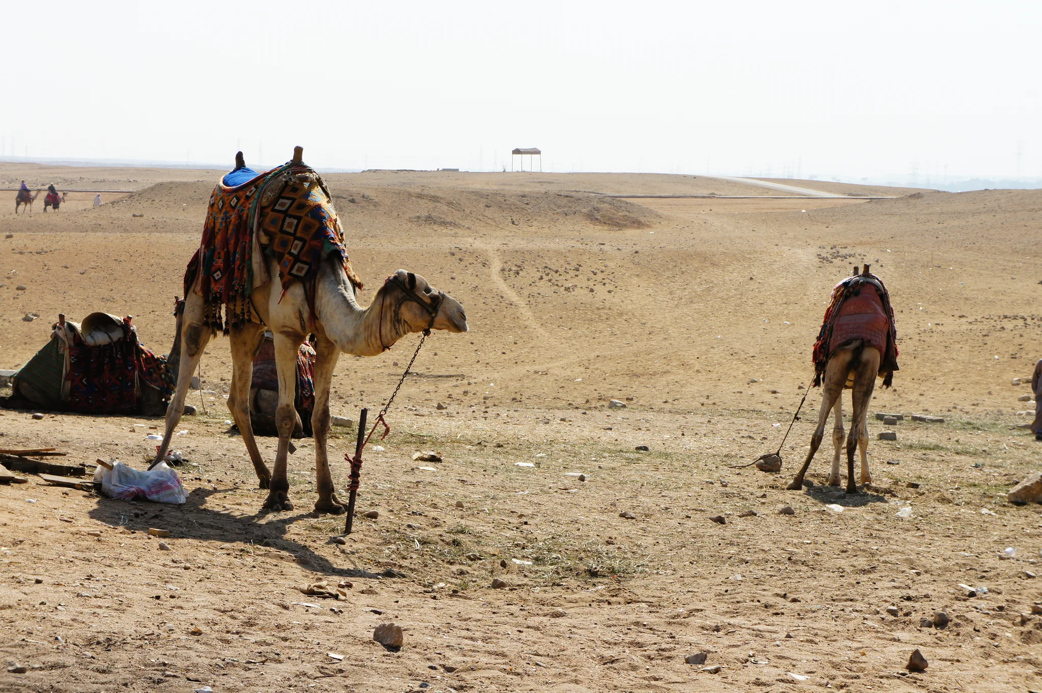 20121027-142939-20260404-0432-4926-73E9-539A90CC35E1