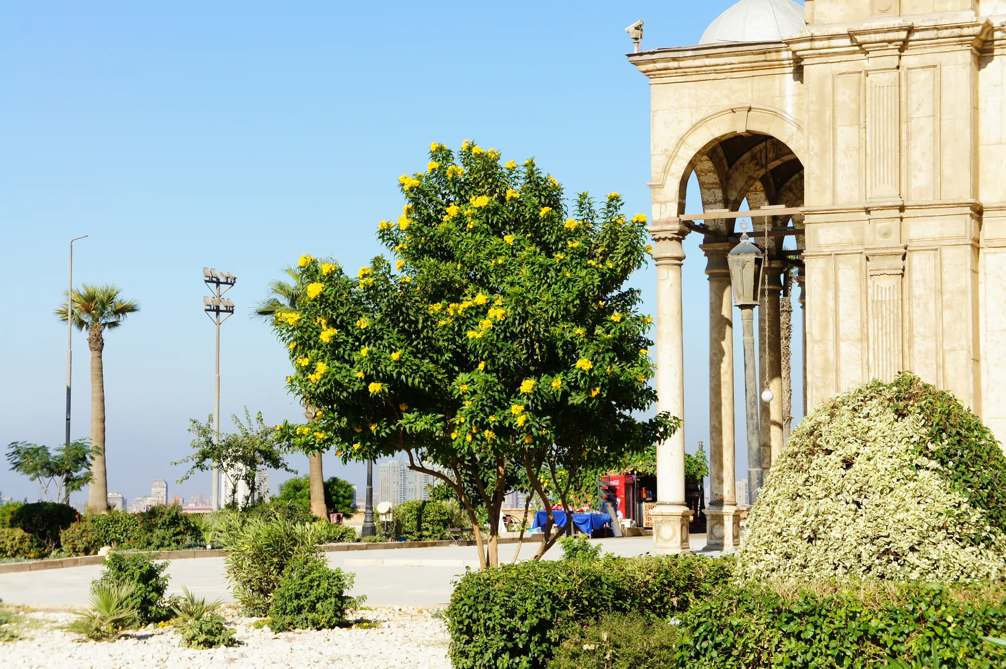 20121028-094201-20260404-0432-480C-73E9-7BAFE3E2EA39