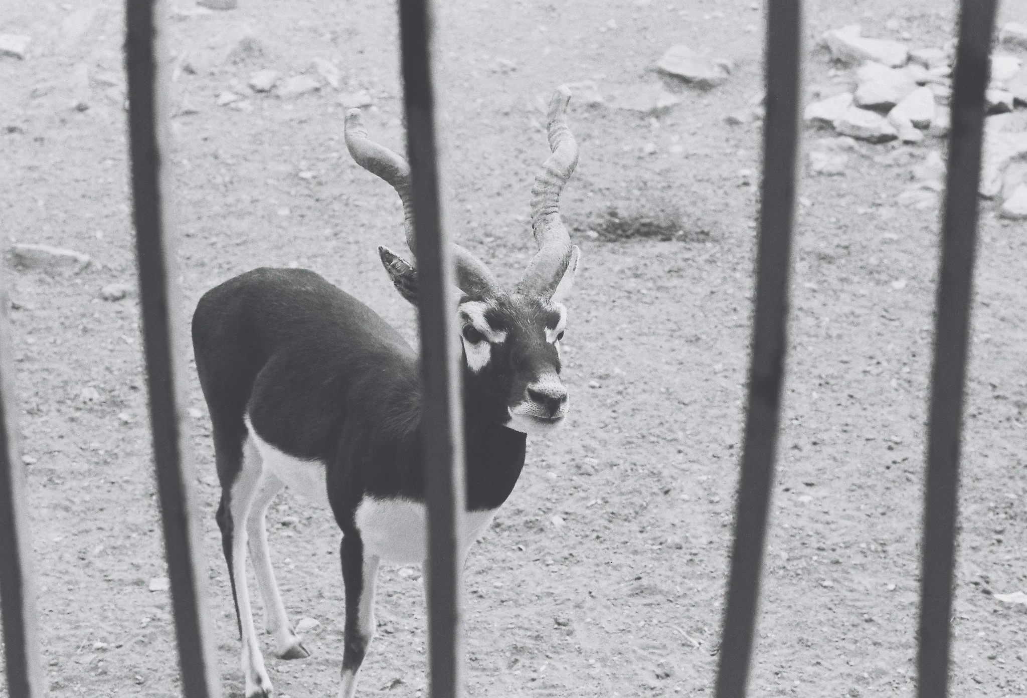 20140227-115904-20260407-0111-390A-BC21-431774D36FBC