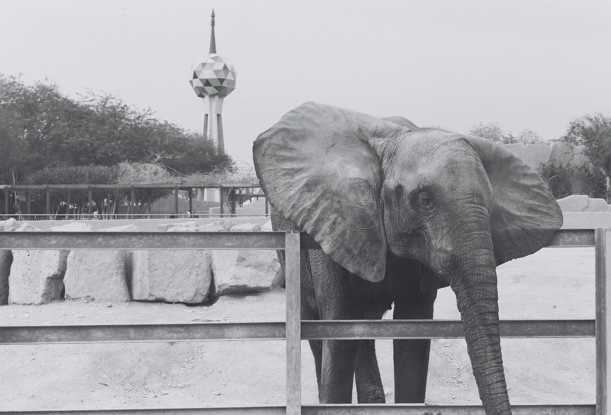 20140227-115915-20260407-0111-390B-BC21-65E4871C76B0