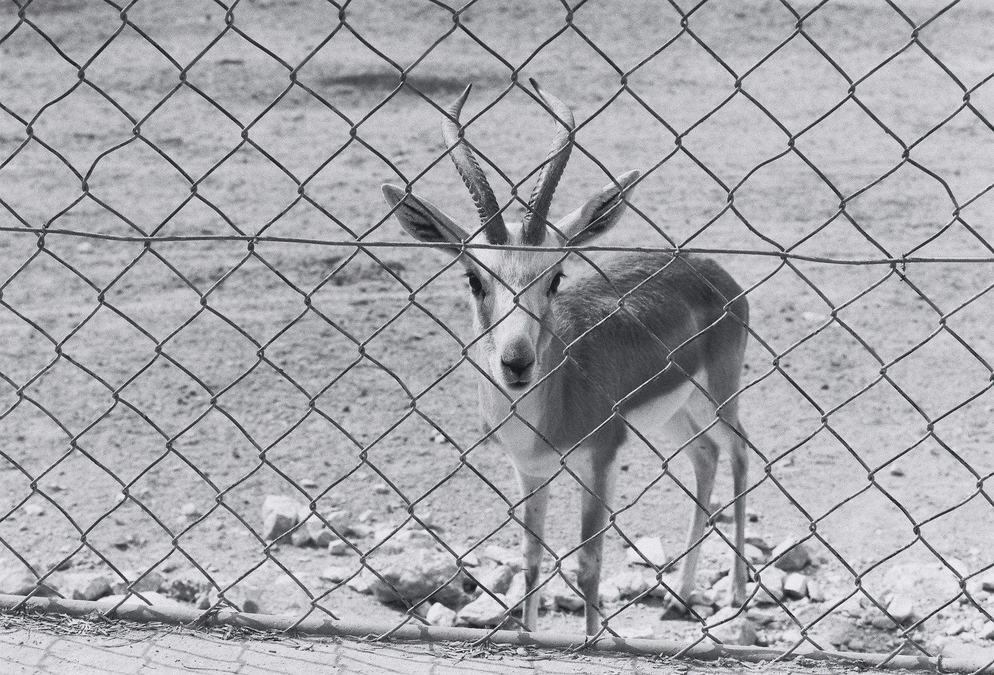 20140227-115938-20260407-0111-390D-BC21-0AFD8EFC833E