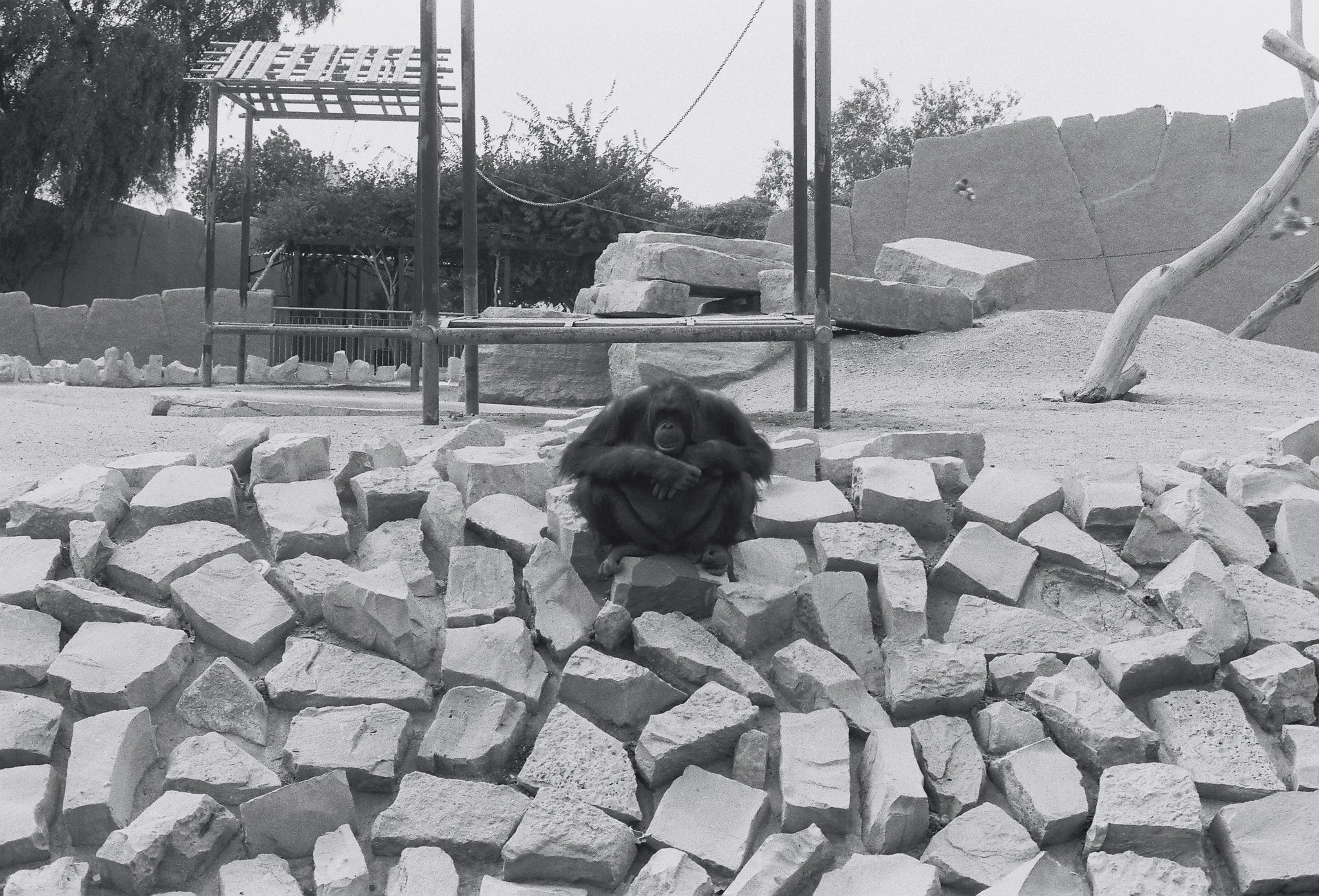 20140227-120057-20260407-0111-3908-BC21-BC13B59C8478