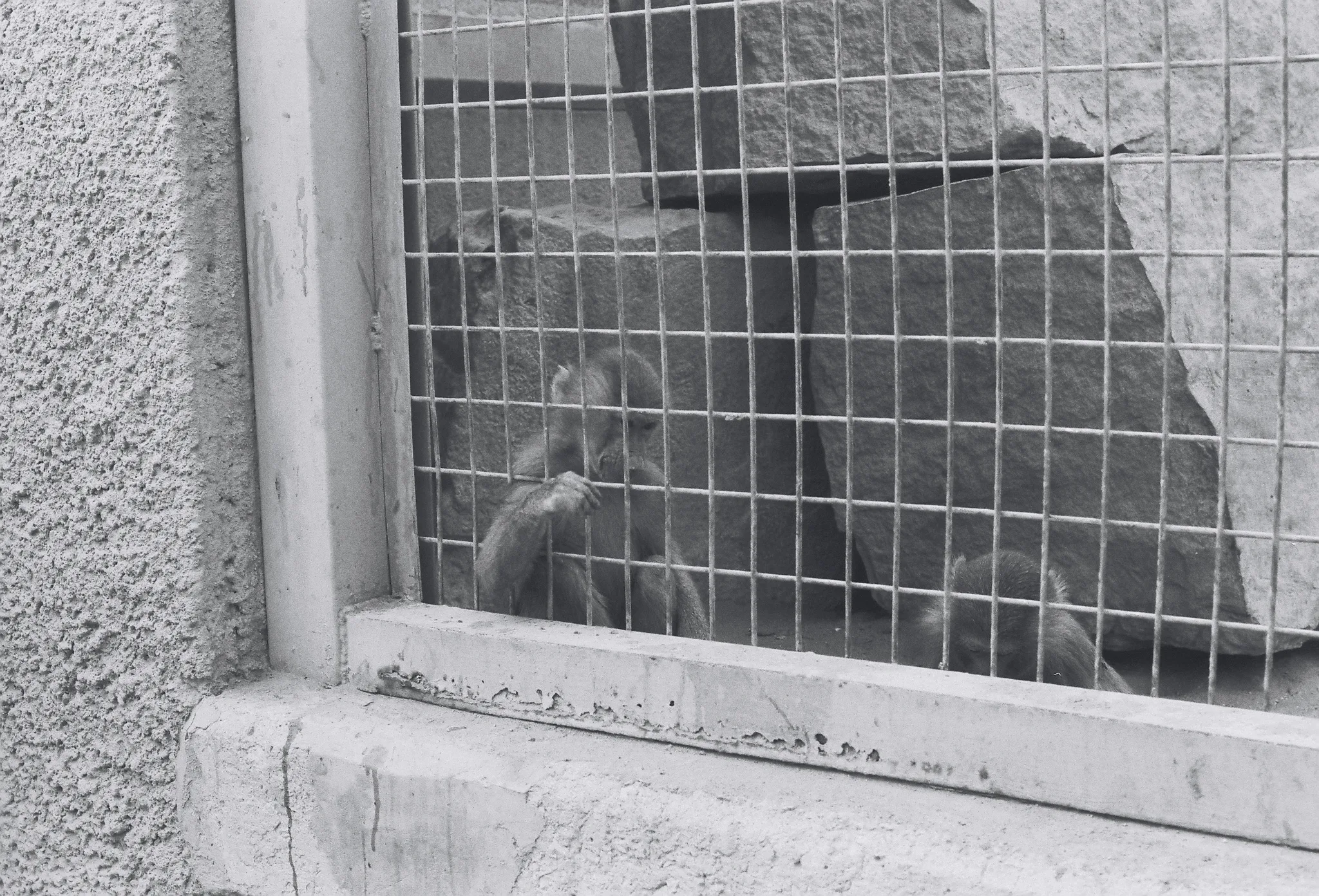 20140227-120216-20260407-0111-3907-BC21-CB3650B51B45