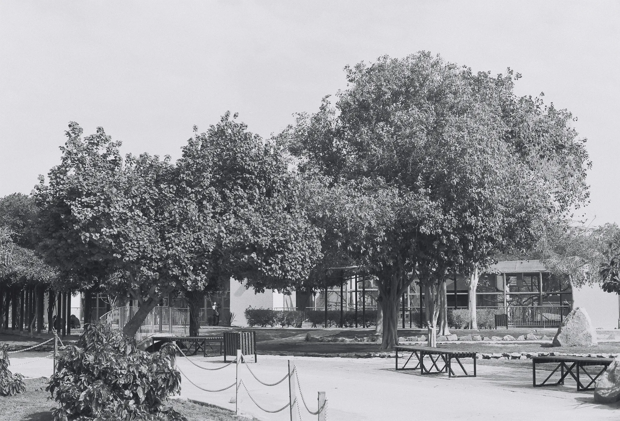 20140227-120239-20260407-0111-3909-BC21-C110AC63785F